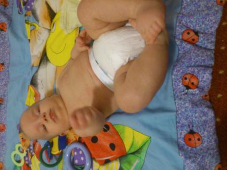 Bild zu 