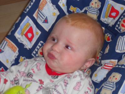 Bild zu Meine Mausi beim Füttern... - Forum für August - Mamis