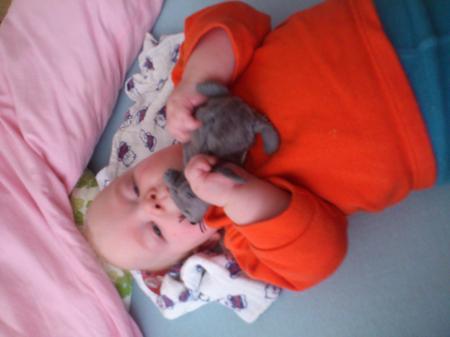 Bild zu 