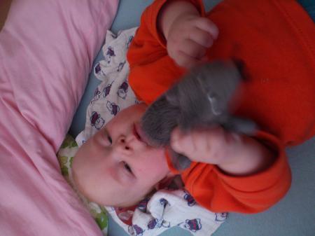 Bild zu 