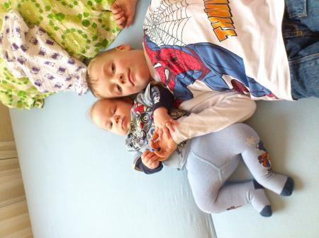 Bild zu 