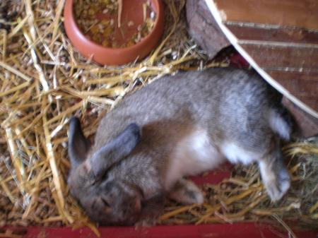 Bild zu 