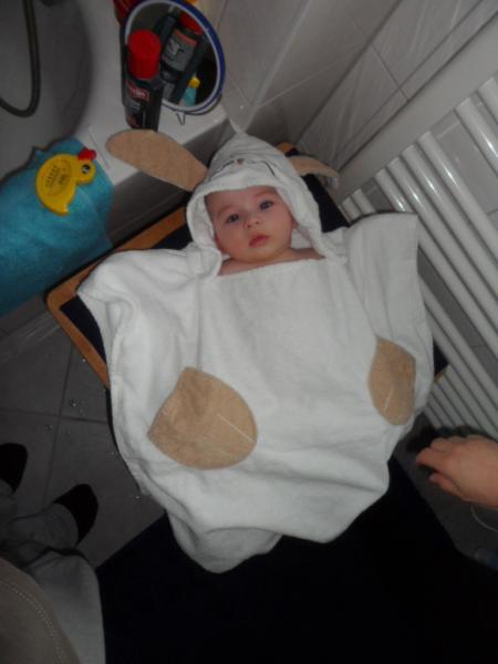 Bild zu 