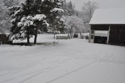 Bild zu Es schneit, und schneit, und schneit..... - Forum für August - Mamis