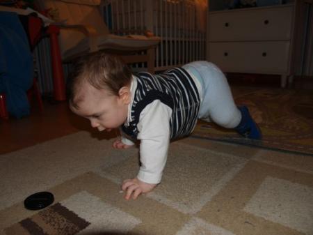 Bild zu 