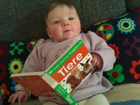 Bild zu