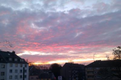 Bild zu Heute morgen... (Foto) - Forum für August - Mamis