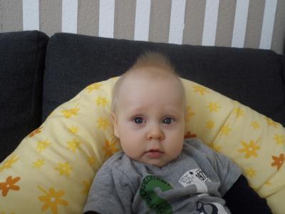 Bild zu Bilder-Runde wer macht mit? Hier ganz Aktuell von Liam - Forum für August - Mamis