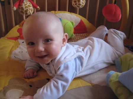 Bild zu
