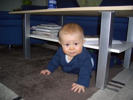 Bild zu
