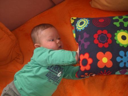 Bild zu 