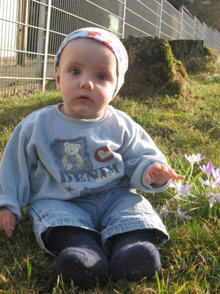 Bild zu 