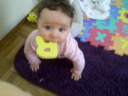 Bild zu