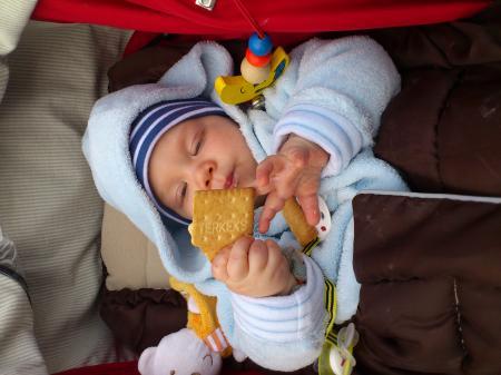 Bild zu 