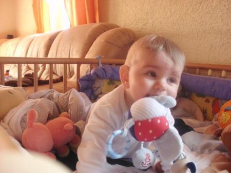 Bild zu