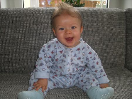 Bild zu