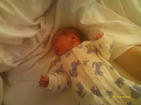 Bild zu