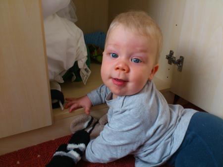 Bild zu