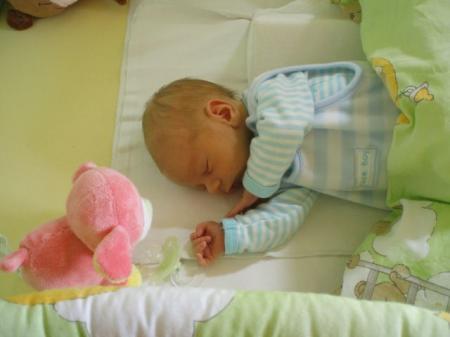 Bild zu