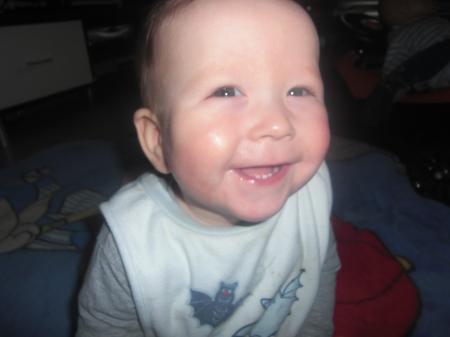Bild zu