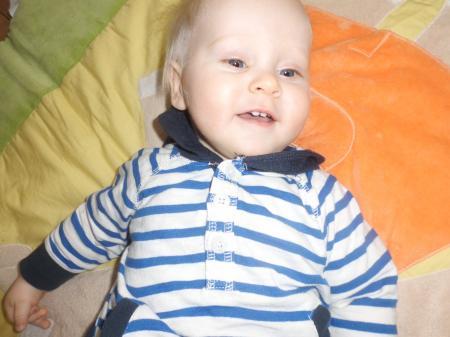 Bild zu
