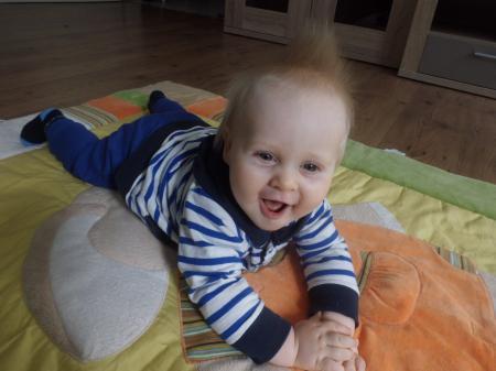Bild zu
