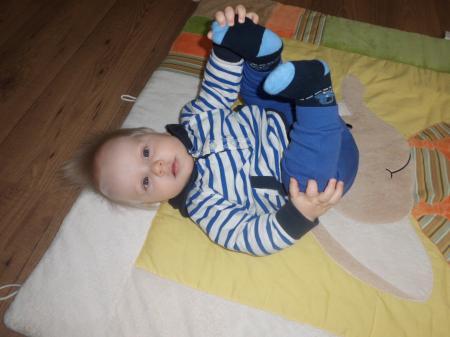 Bild zu