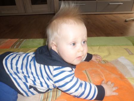 Bild zu