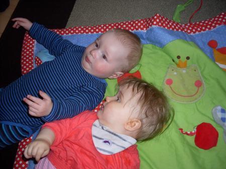 Bild zu