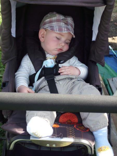 Bild zu 