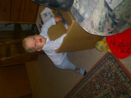Bild zu