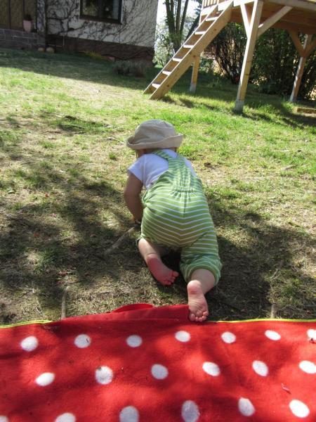 Bild zu