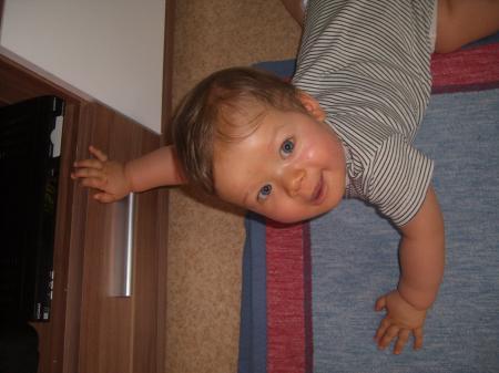 Bild zu