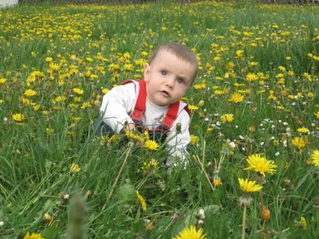 Bild zu 