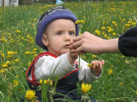 Bild zu 