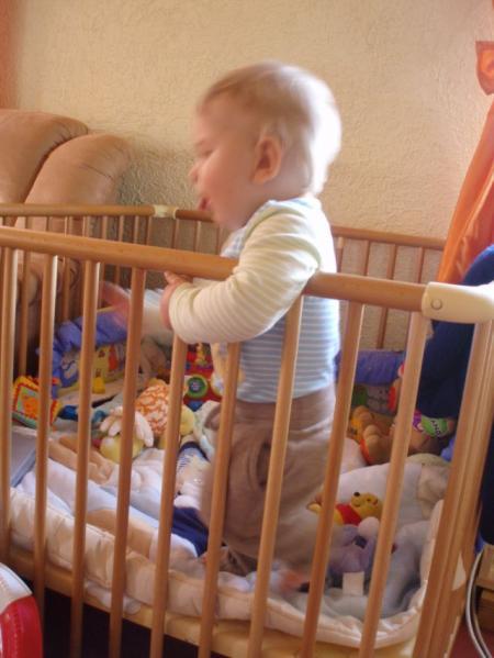 Bild zu