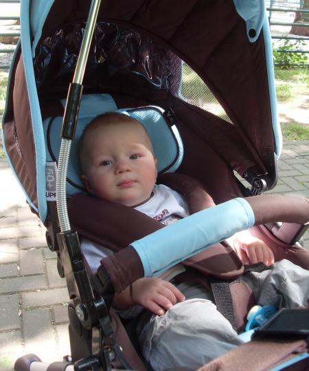 Bild zu 