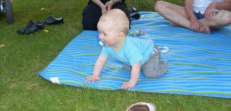 Bild zu 