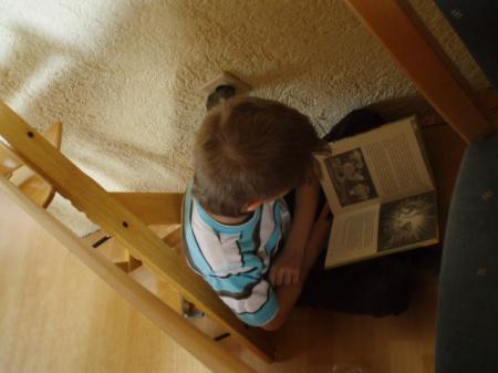 Bild zu