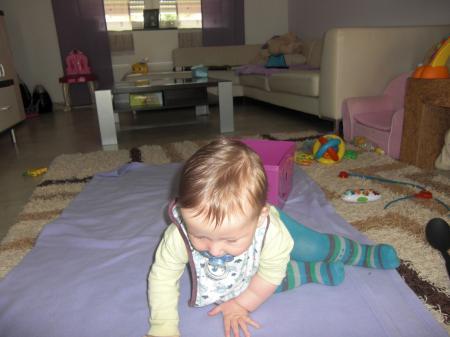 Bild zu