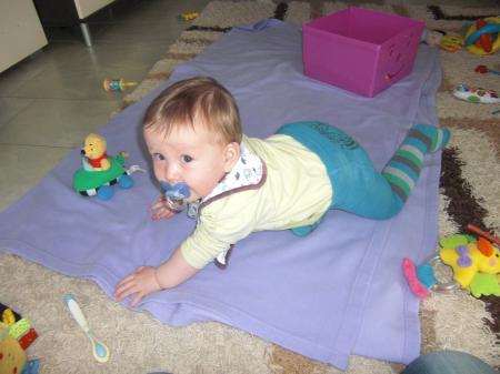 Bild zu