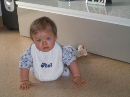 Bild zu