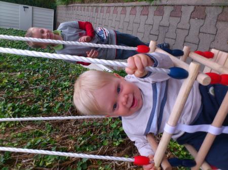 Bild zu 