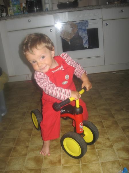 Bild zu 