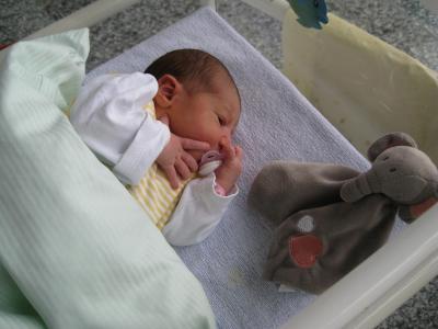 Bild zu Geburtsbericht - Forum für August - Mamis