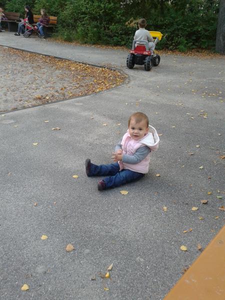 Bild zu
