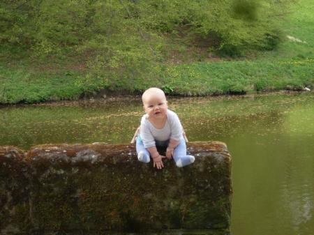 Bild zu