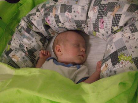 Bild zu