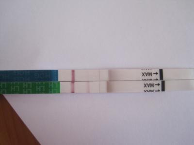 Bild zu SST wie sicher bei ES+10????? - Forum für August - Mamis