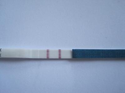 Bild zu Bin auch dabei!!!!! - Forum für August - Mamis